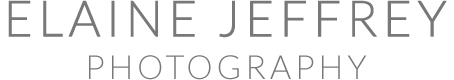 Elaine Jeffrey - Photography - Logo
